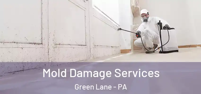 Mold Damage Services Green Lane - PA