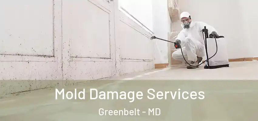  Mold Damage Services Greenbelt - MD