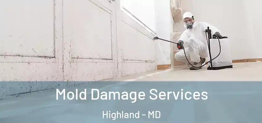  Mold Damage Services Highland - MD