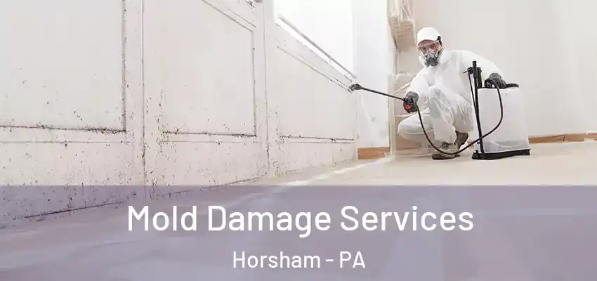 Mold Damage Services Horsham - PA
