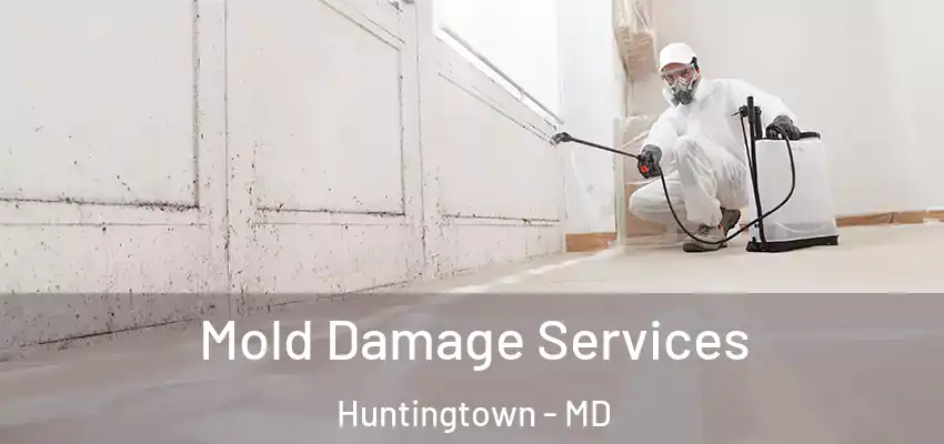 Mold Damage Services Huntingtown - MD