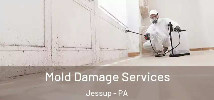 Mold Damage Services Jessup - PA