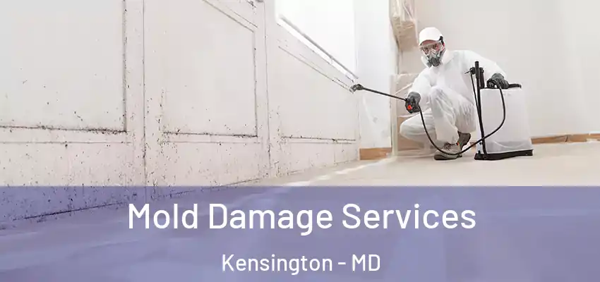 Mold Damage Services Kensington - MD