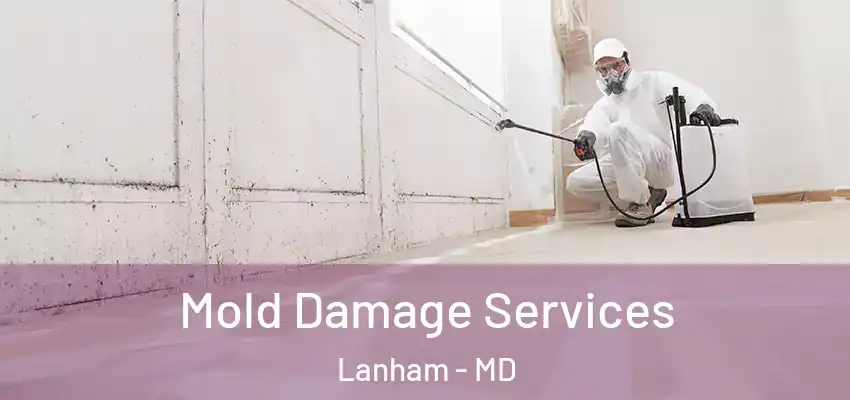 Mold Damage Services Lanham - MD