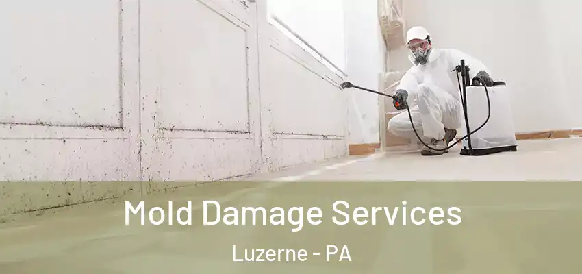 Mold Damage Services Luzerne - PA