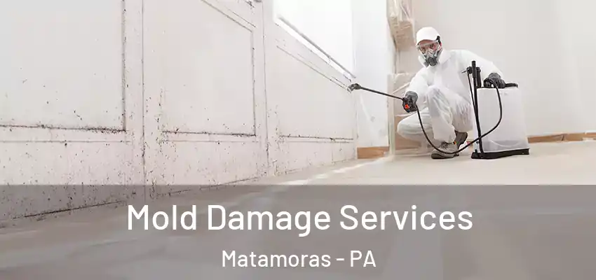  Mold Damage Services Matamoras - PA