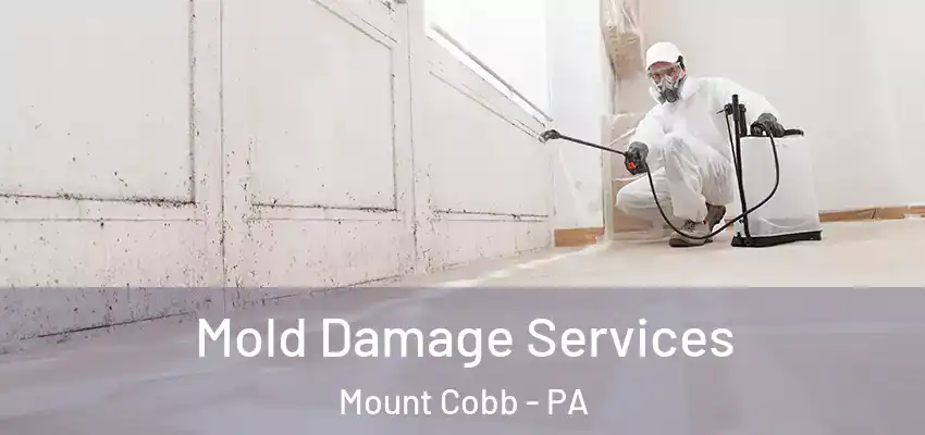 Mold Damage Services Mount Cobb - PA