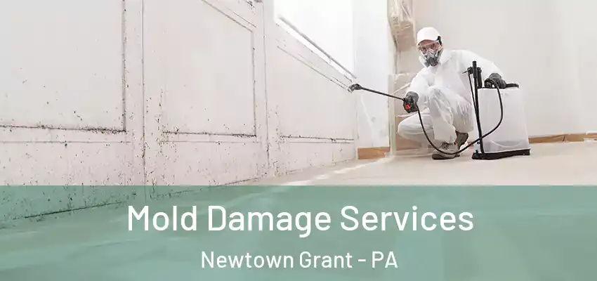 Mold Damage Services Newtown Grant - PA