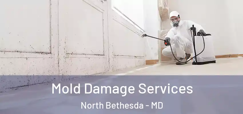 Mold Damage Services North Bethesda - MD