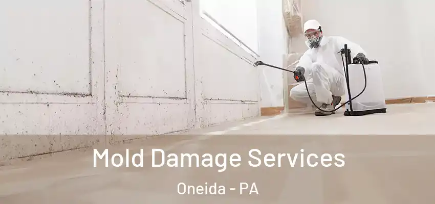 Mold Damage Services Oneida - PA