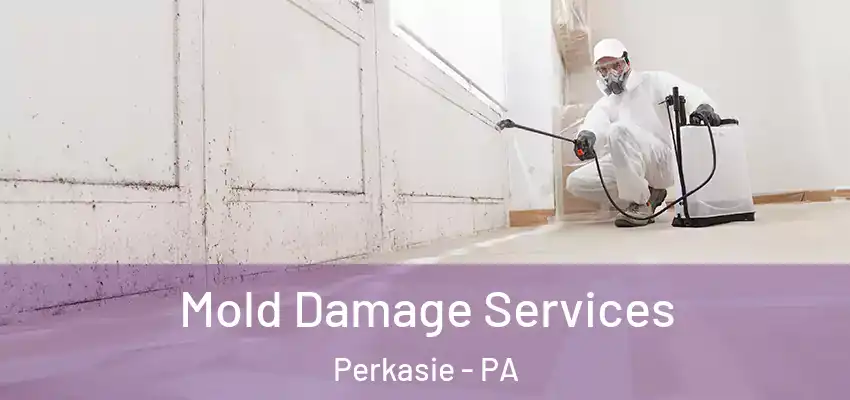 Mold Damage Services Perkasie - PA