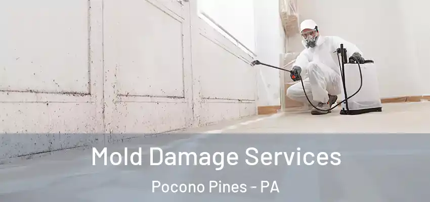 Mold Damage Services Pocono Pines - PA