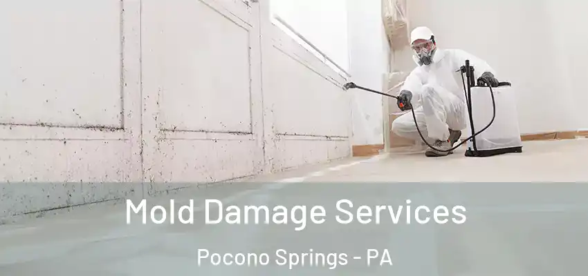 Mold Damage Services Pocono Springs - PA