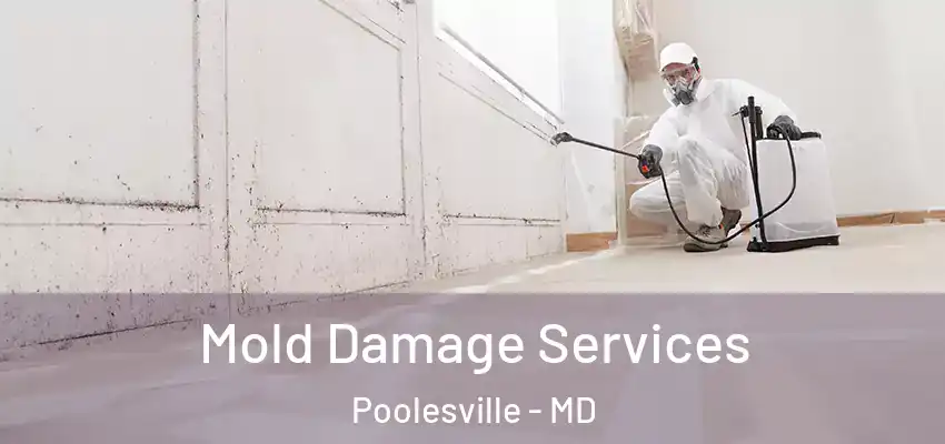 Mold Damage Services Poolesville - MD