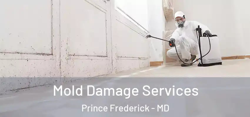  Mold Damage Services Prince Frederick - MD