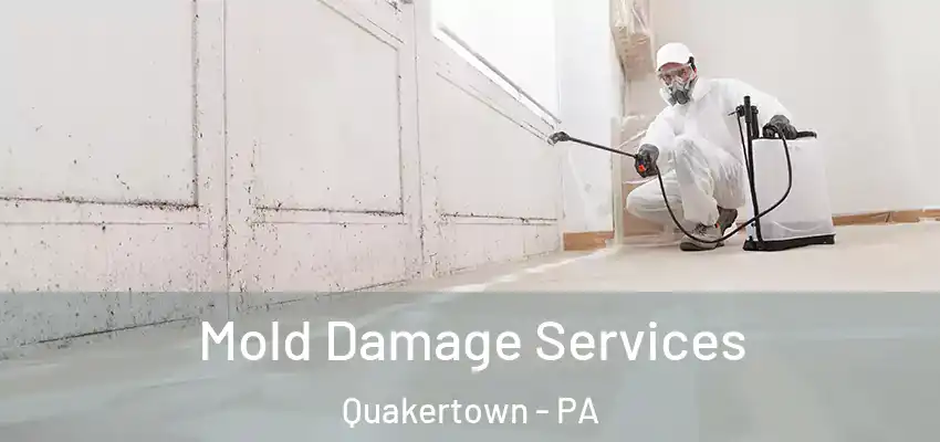 Mold Damage Services Quakertown - PA