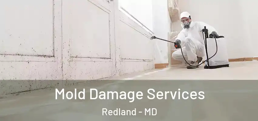 Mold Damage Services Redland - MD