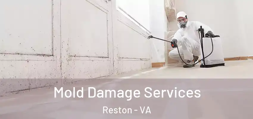 Mold Damage Services Reston - VA