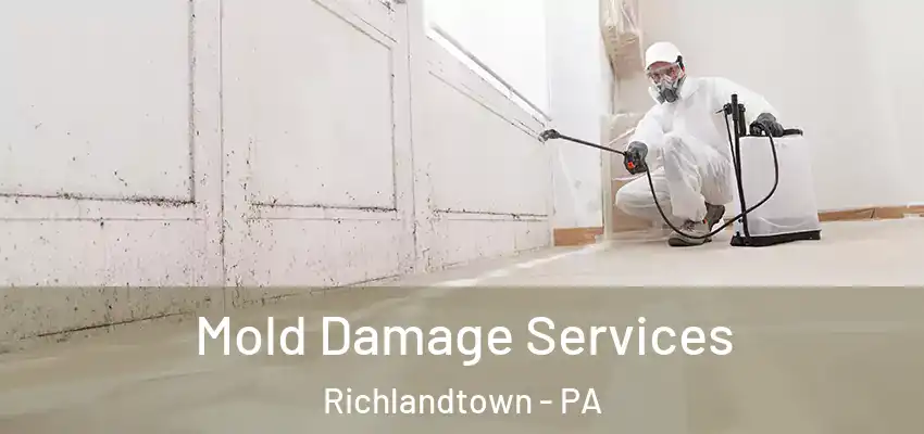 Mold Damage Services Richlandtown - PA