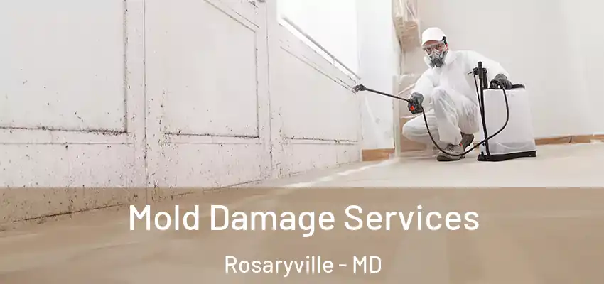 Mold Damage Services Rosaryville - MD