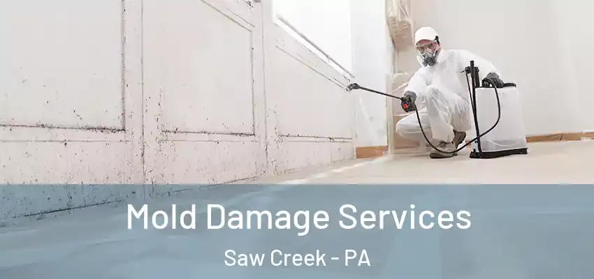 Mold Damage Services Saw Creek - PA