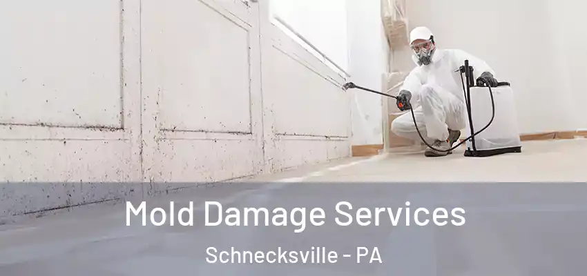 Mold Damage Services Schnecksville - PA