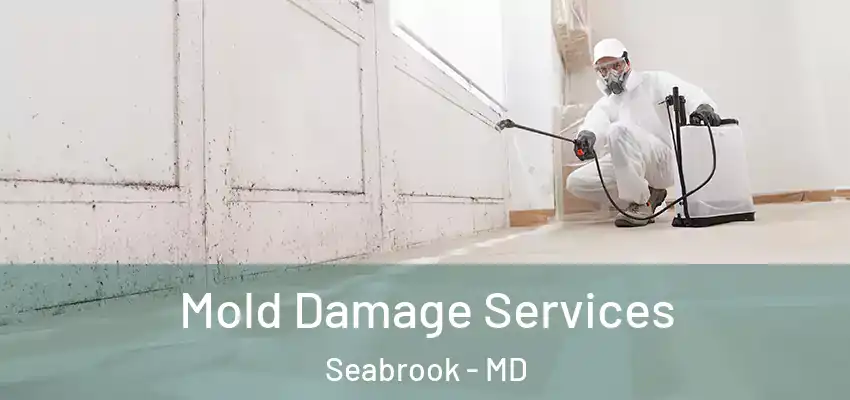  Mold Damage Services Seabrook - MD