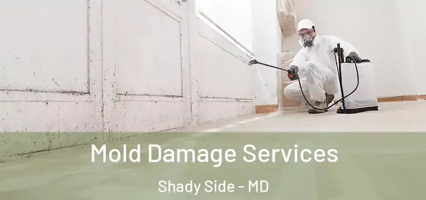 Mold Damage Services Shady Side - MD