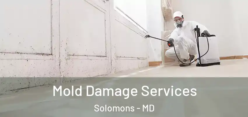 Mold Damage Services Solomons - MD