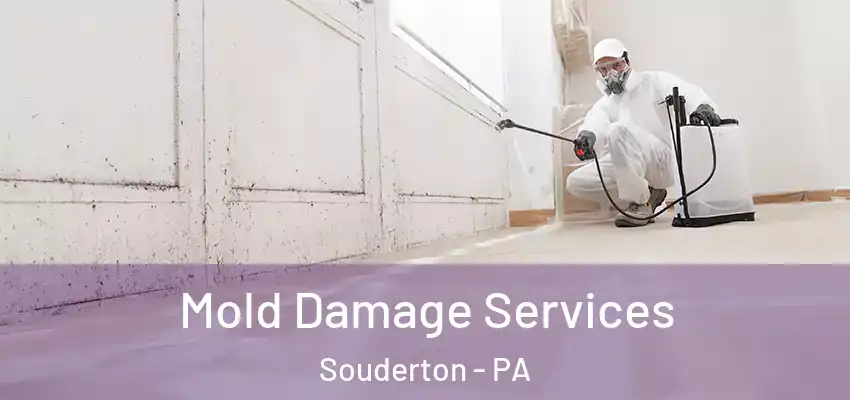 Mold Damage Services Souderton - PA