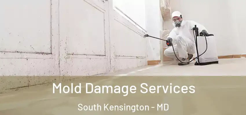 Mold Damage Services South Kensington - MD