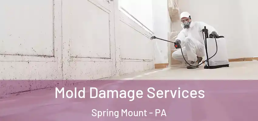 Mold Damage Services Spring Mount - PA