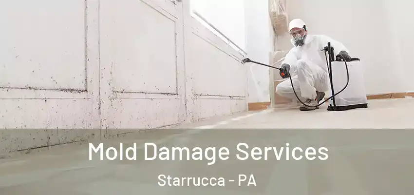 Mold Damage Services Starrucca - PA