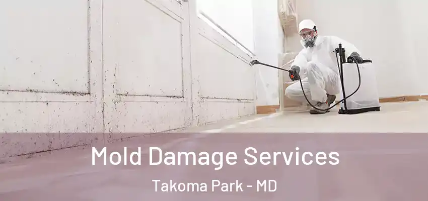 Mold Damage Services Takoma Park - MD