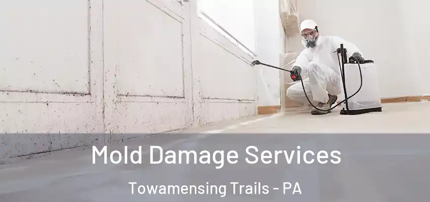  Mold Damage Services Towamensing Trails - PA