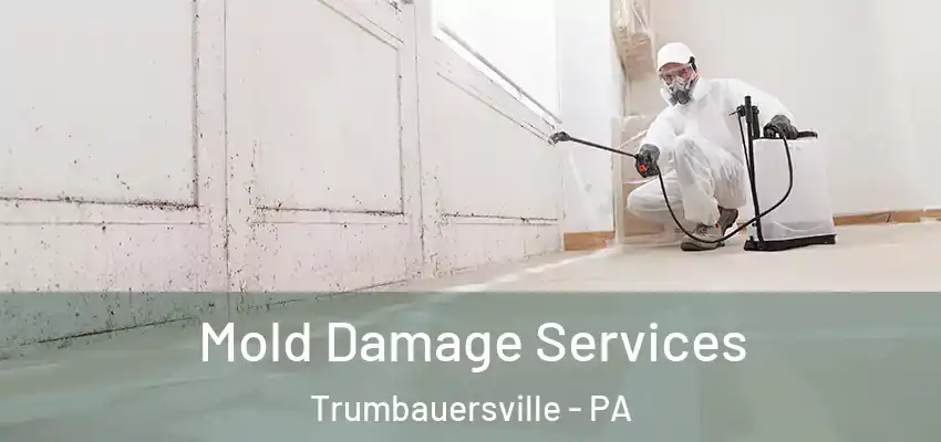 Mold Damage Services Trumbauersville - PA