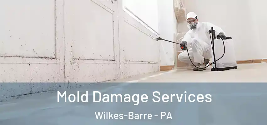 Mold Damage Services Wilkes-Barre - PA