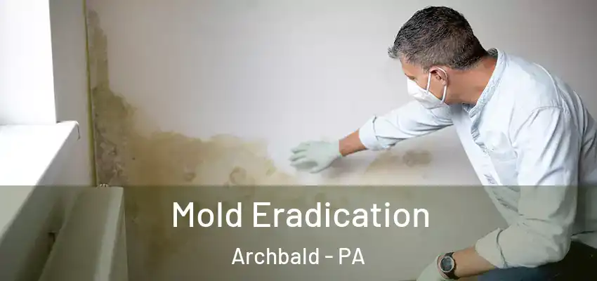 Mold Eradication Archbald - PA