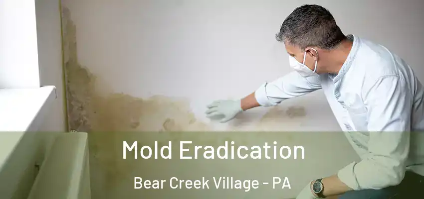 Mold Eradication Bear Creek Village - PA