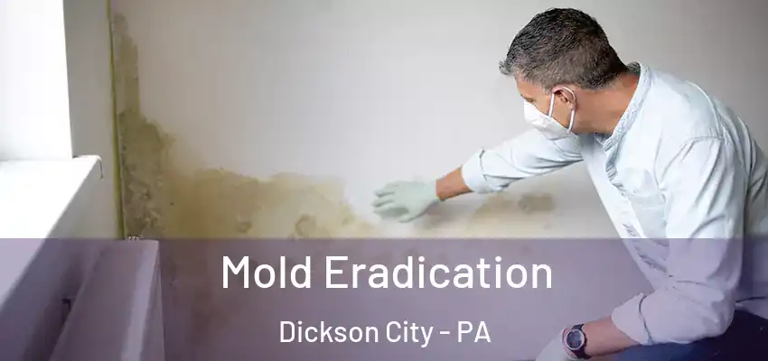Mold Eradication Dickson City - PA