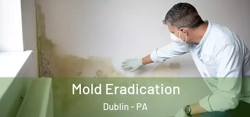 Mold Eradication Dublin - PA