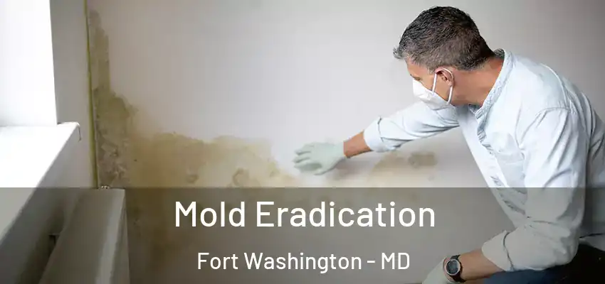 Mold Eradication Fort Washington - MD