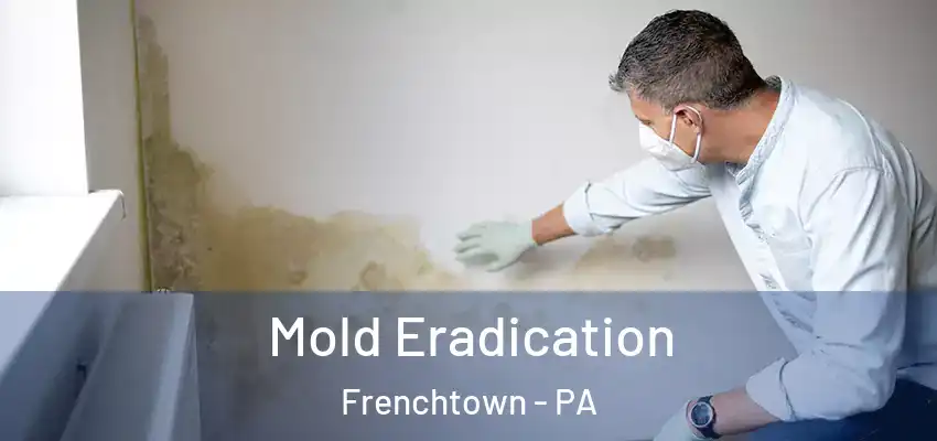 Mold Eradication Frenchtown - PA