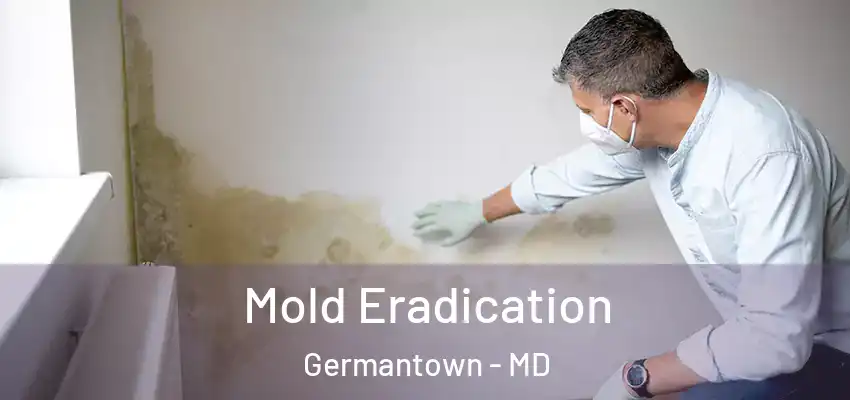 Mold Eradication Germantown - MD
