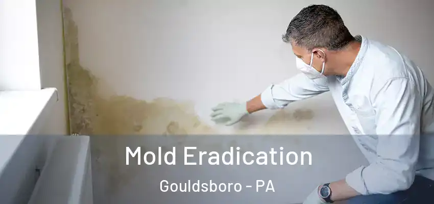  Mold Eradication Gouldsboro - PA