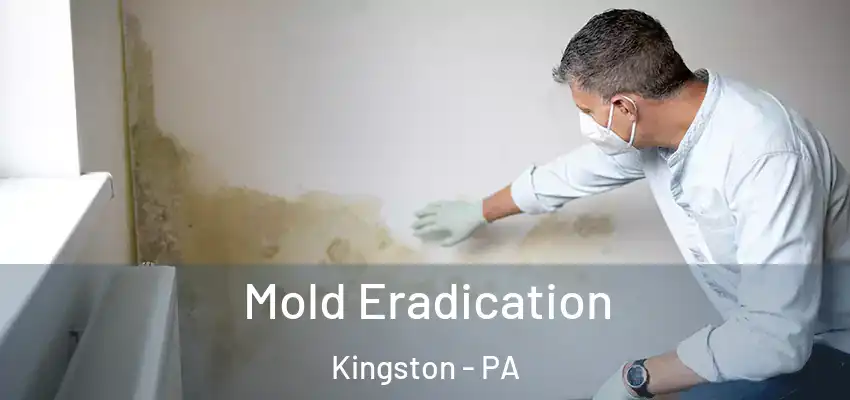 Mold Eradication Kingston - PA