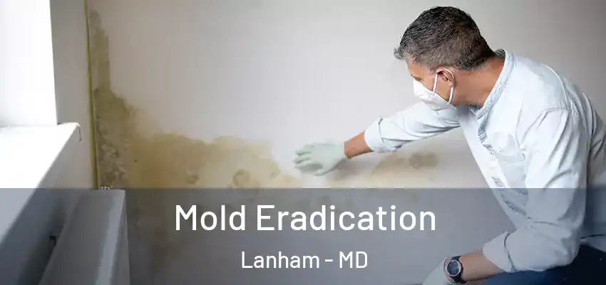 Mold Eradication Lanham - MD
