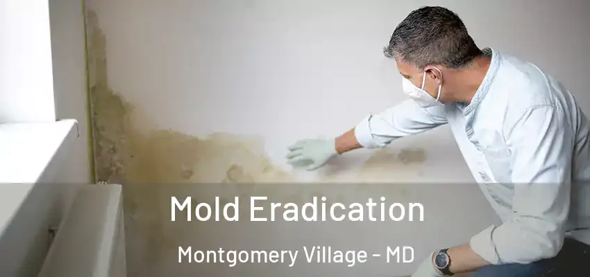 Mold Eradication Montgomery Village - MD