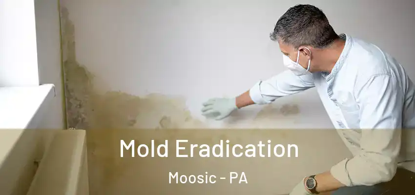 Mold Eradication Moosic - PA