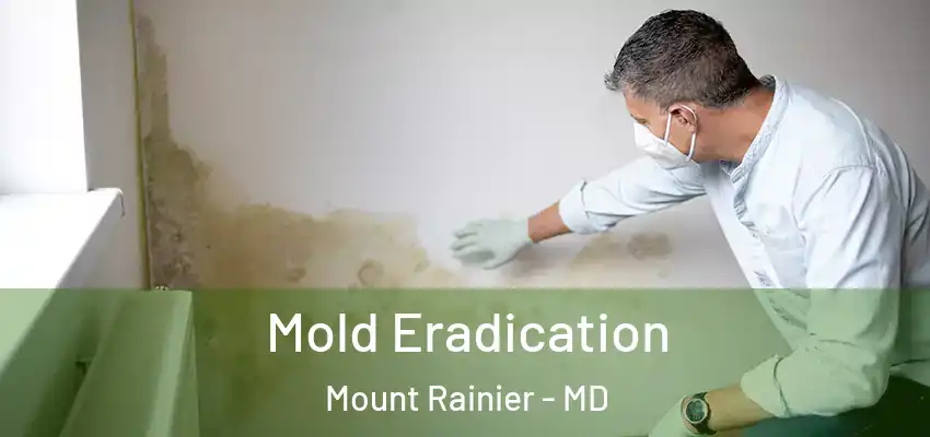 Mold Eradication Mount Rainier - MD